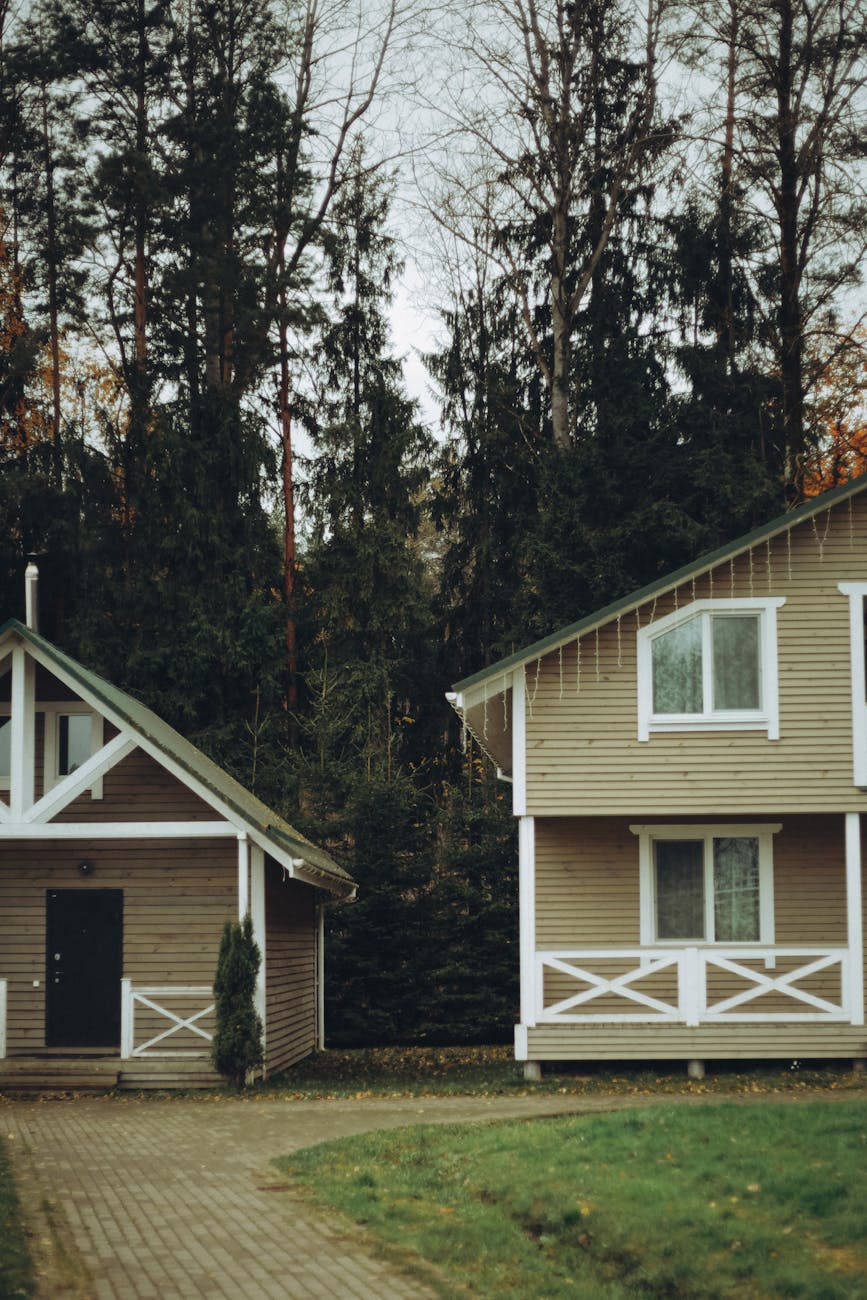 charming wooden houses in forest setting